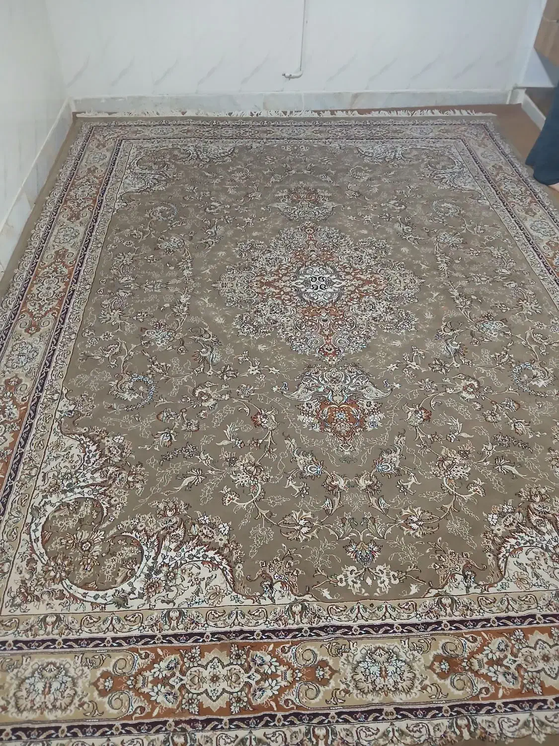 قالی 700شانه|فرش|اشتهارد, |دیوار