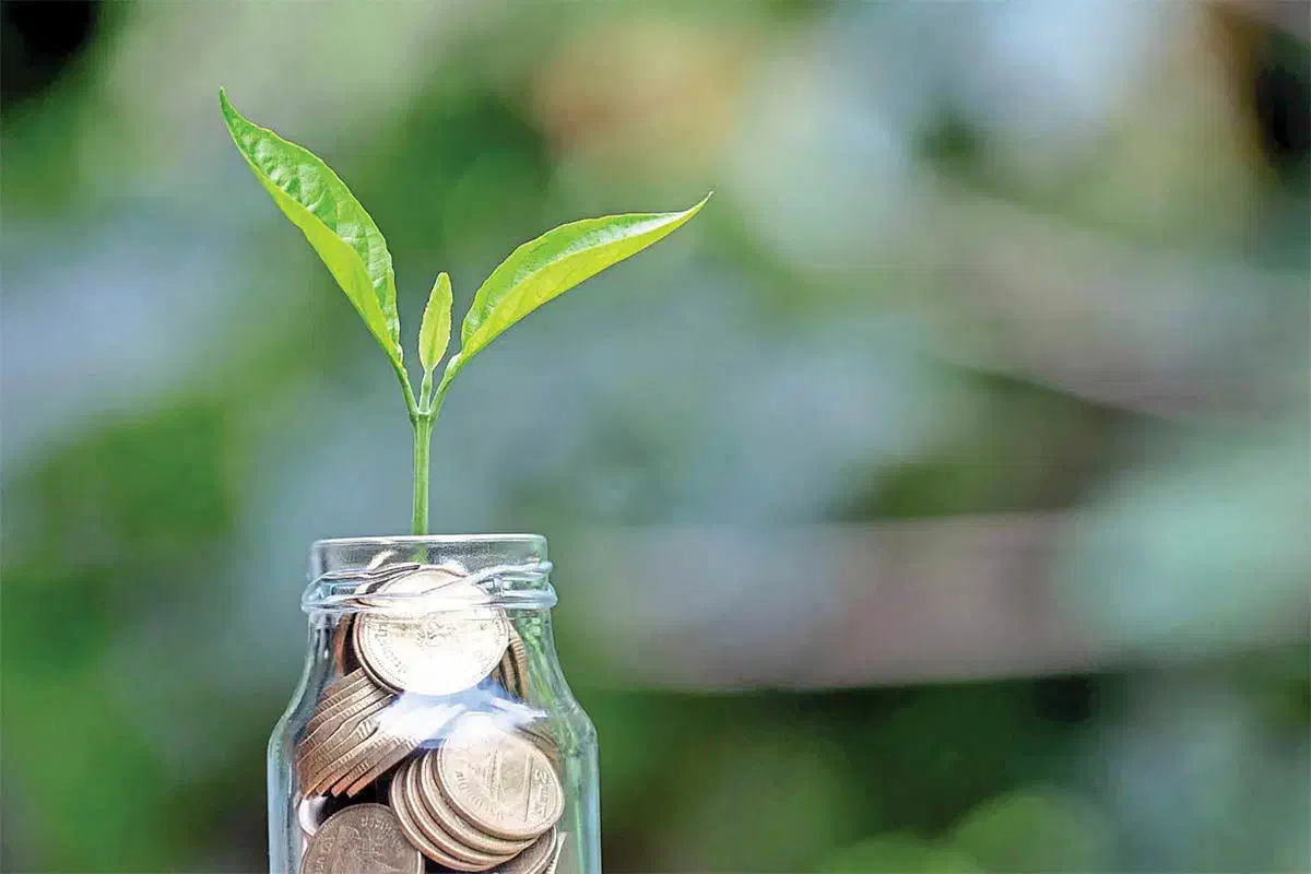 وام نقدی طلا اقساطی ۱۸ ماهه|جواهرات|رباط‌کریم, رباط‌کریم|دیوار