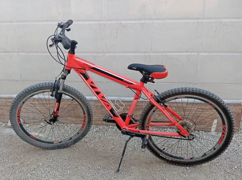 دوچرخه ویوا|دوچرخه، اسکیت، اسکوتر|لامرد, |دیوار