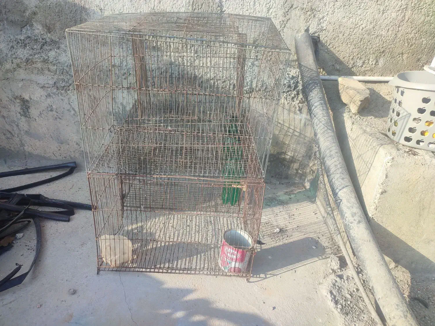 کبوتر 4عدد کفس|پرنده|قیروکارزین, |دیوار