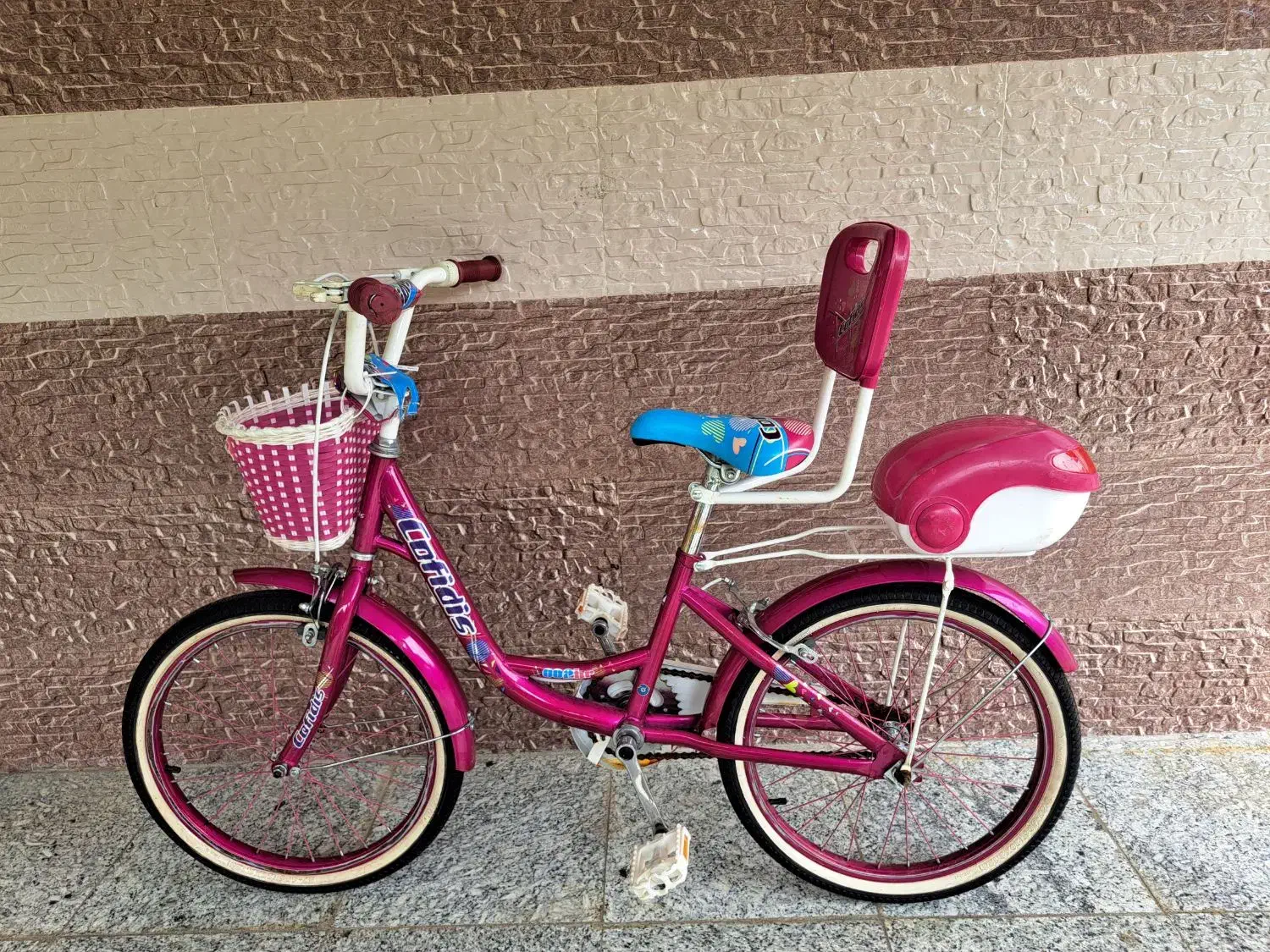 دوچرخه دخترونه 20|دوچرخه، اسکیت، اسکوتر|چالوس, |دیوار