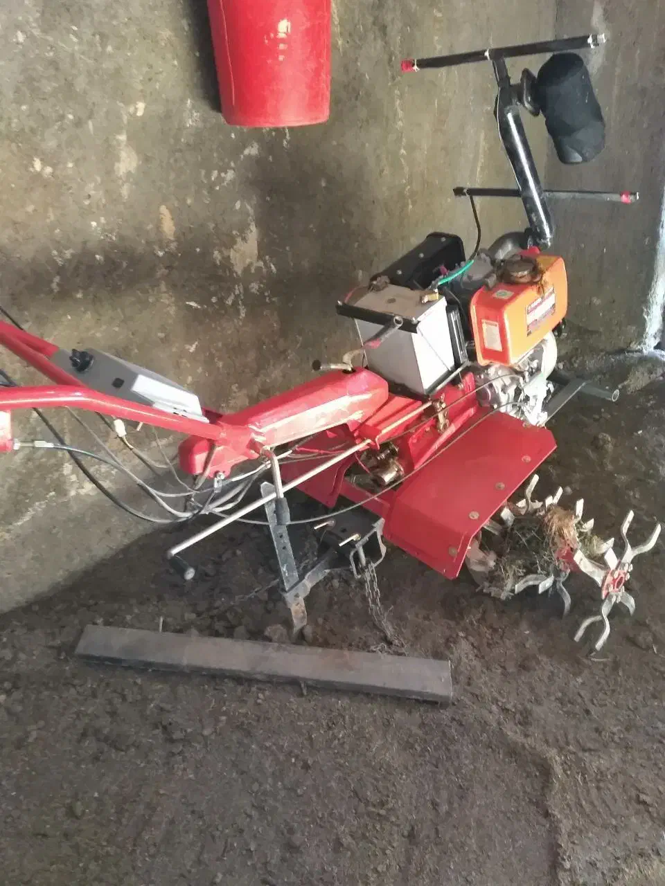 چهار شاخ زنی زعفران باغ...|خدمات باغبانی و درختکاری|تربت جام, میان جام|دیوار