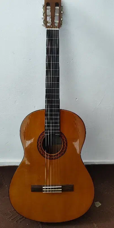 گیتار یاماها c40 نو با وسایل همراه|گیتار، بیس، امپلیفایر|بیرجند, |دیوار