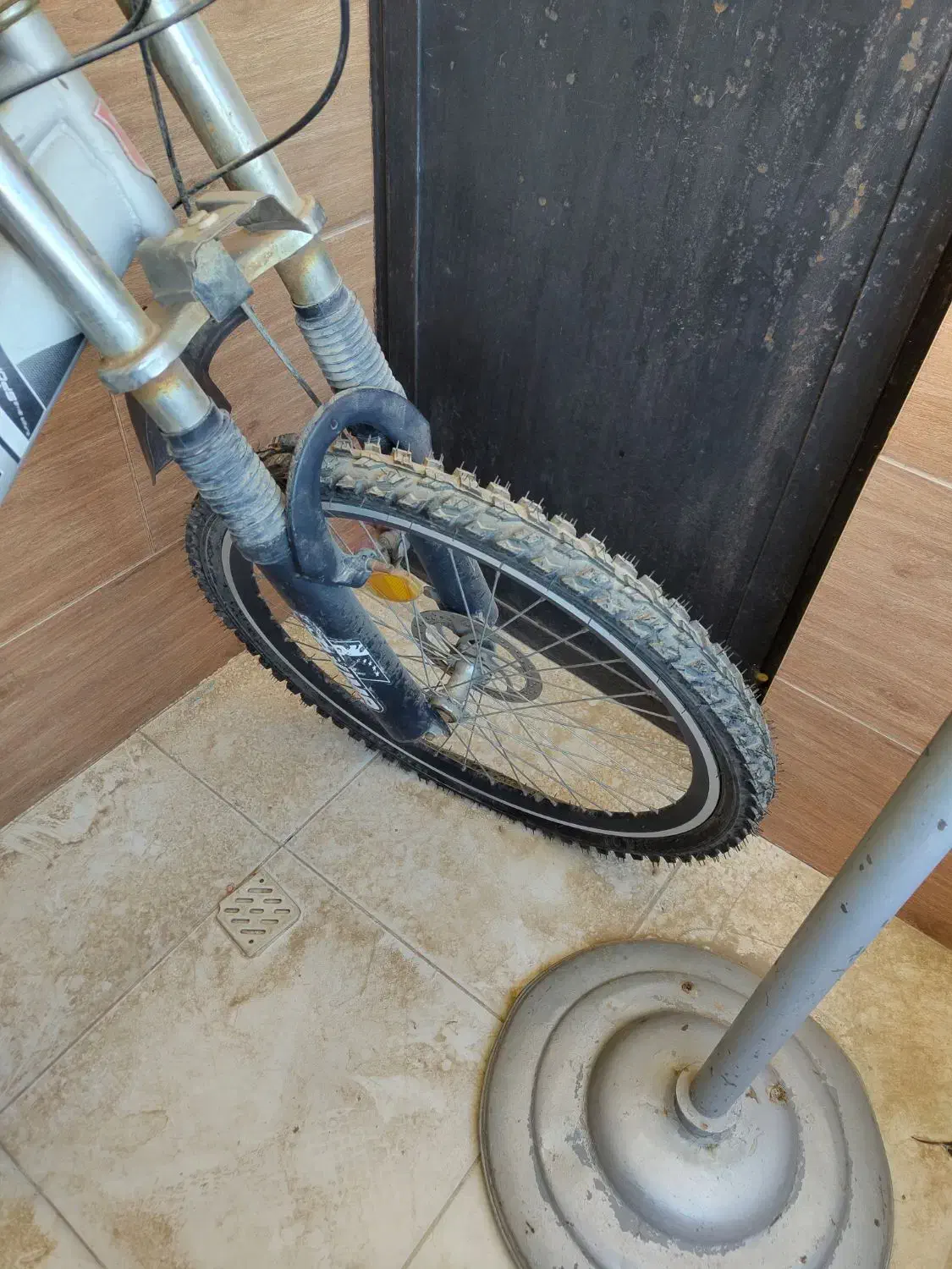 دوچرخه ۲۶|دوچرخه، اسکیت، اسکوتر|محمدشهر, همایون ویلا|دیوار