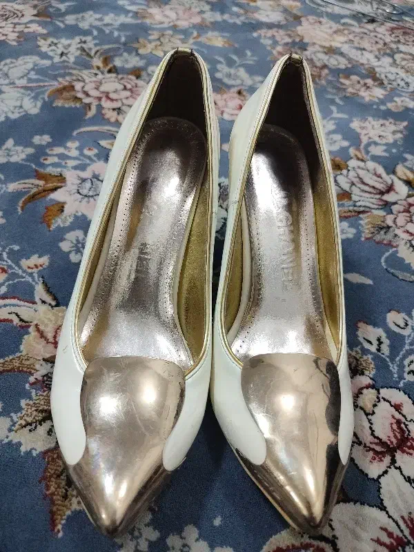 کفش مجلسی|کیف، کفش، کمربند|جوانرود, |دیوار