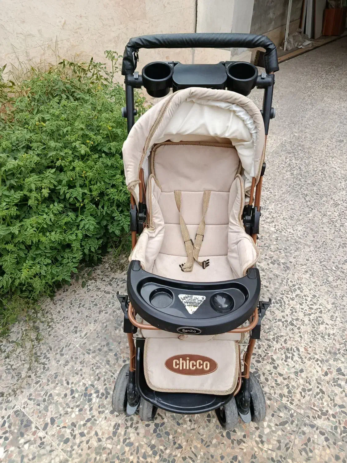 کالسکه بنیتا دلیجان|کالسکه و لوازم جانبی|آمل, |دیوار