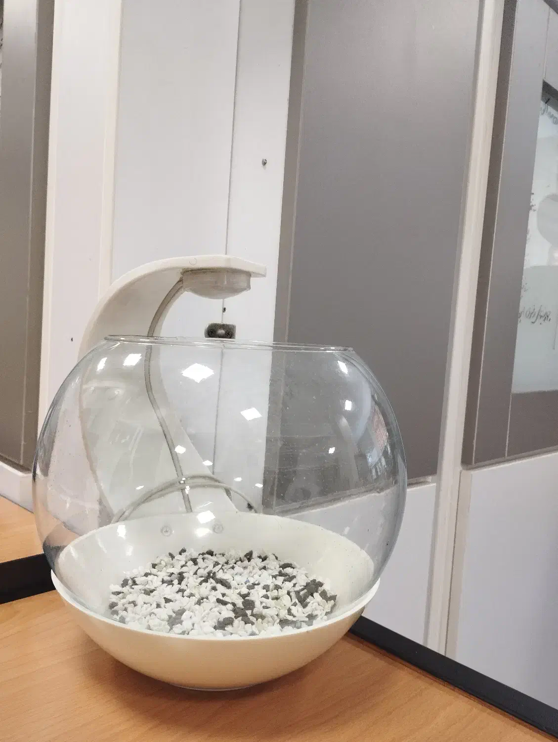 تنگ چراغ دار ماهی|ماهی|تهران, شهرک غزالی|دیوار