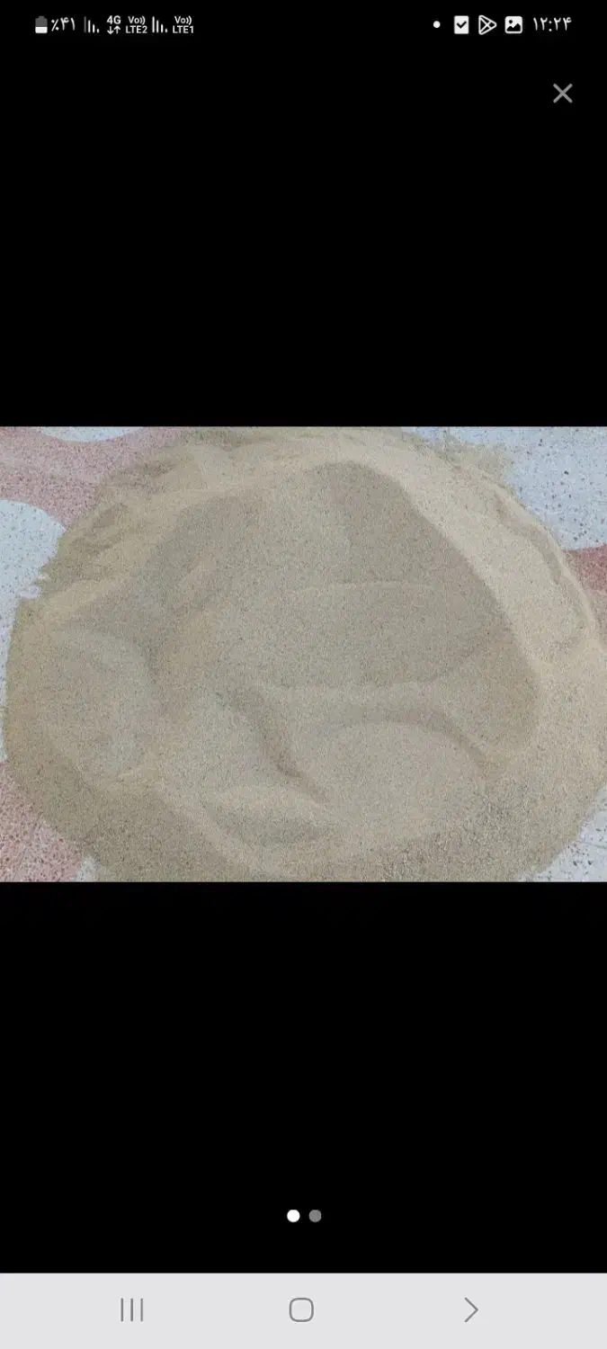 بذر گوجه ای|خدمات باغبانی و درختکاری|کوهدشت, |دیوار