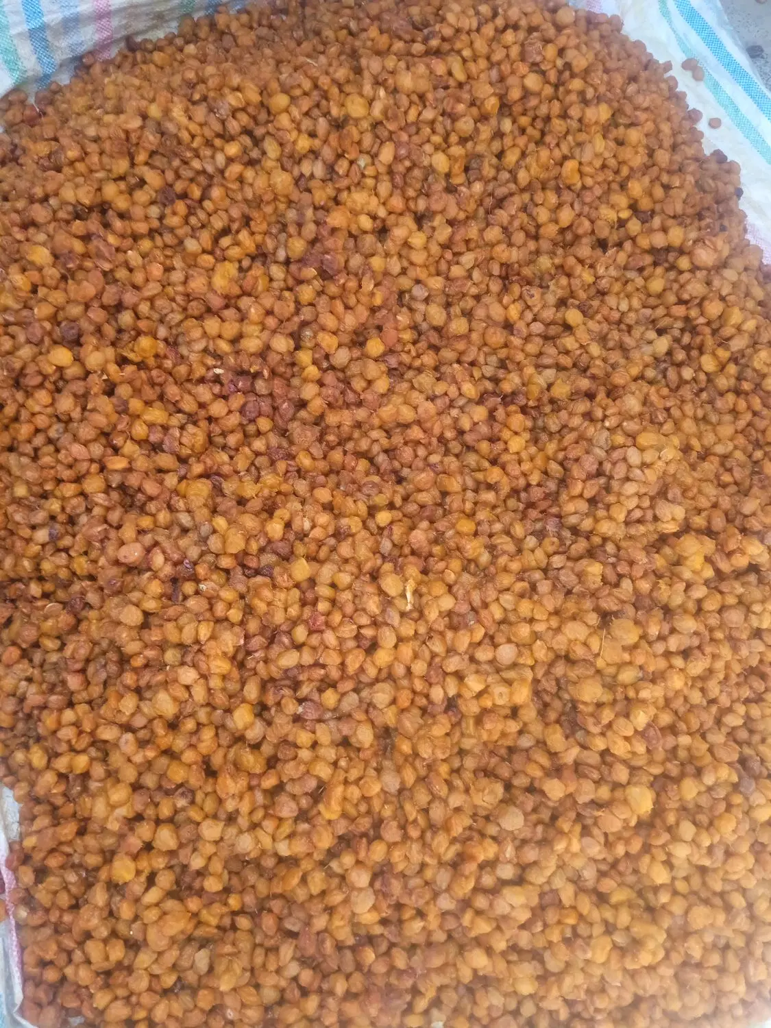 آلو|خوردنی و آشامیدنی|زبرخان, |دیوار