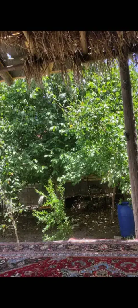 خانه ویلایی دهبکری|فروش خانه و ویلا|بم, |دیوار