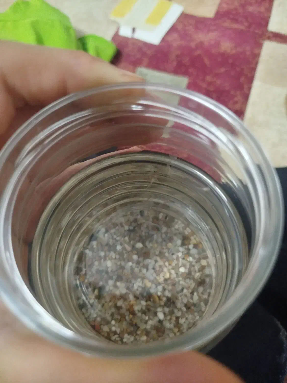 ماهی گوپی|ماهی|قم, انسجام|دیوار