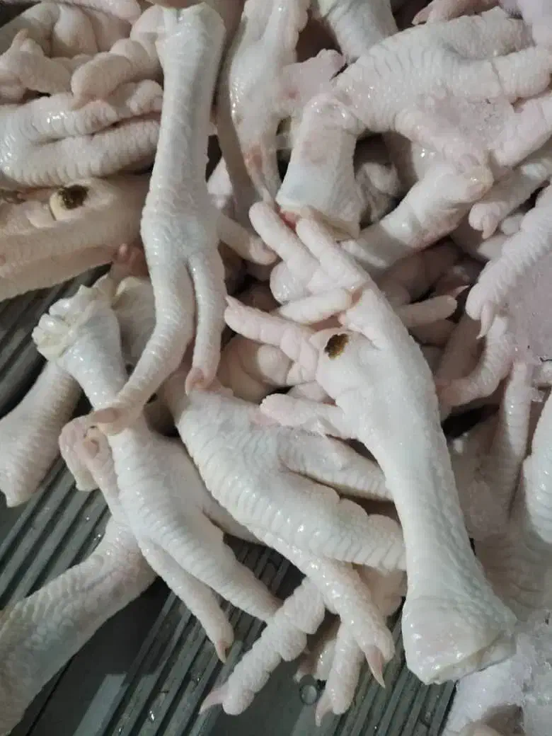 کارگر ساده خانم و اقا|استخدام سرایداری و نظافت|دلیجان, |دیوار