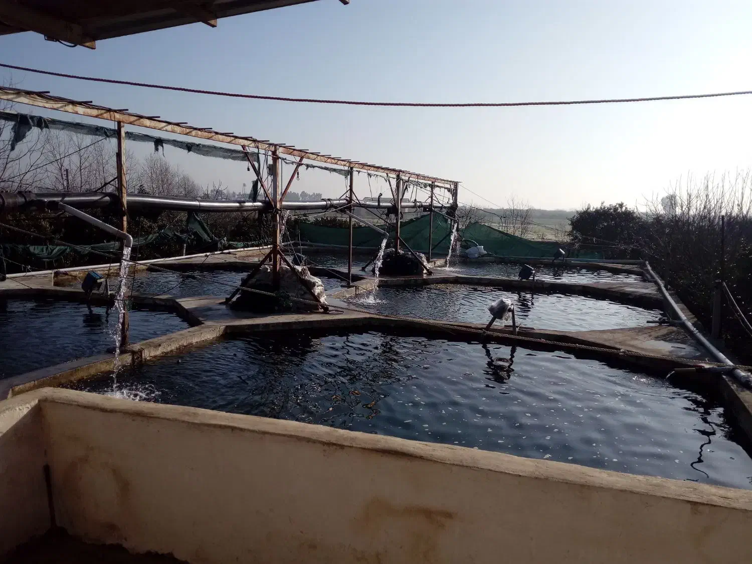 رهن اجاره استخر پرورش ماهی خاویاری قزل آلا ساری|اجارهٔ دفتر صنعتی، کشاورزی، تجاری|آکند, |دیوار