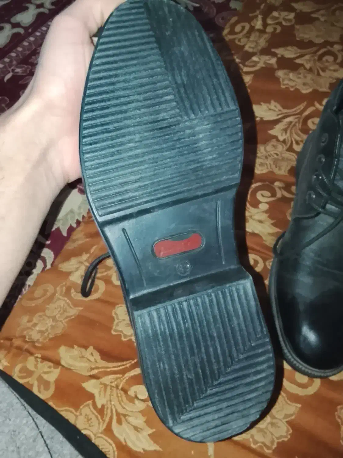 کفش نیم بوت مردانه و طوطی|کیف، کفش، کمربند|باخزر, |دیوار