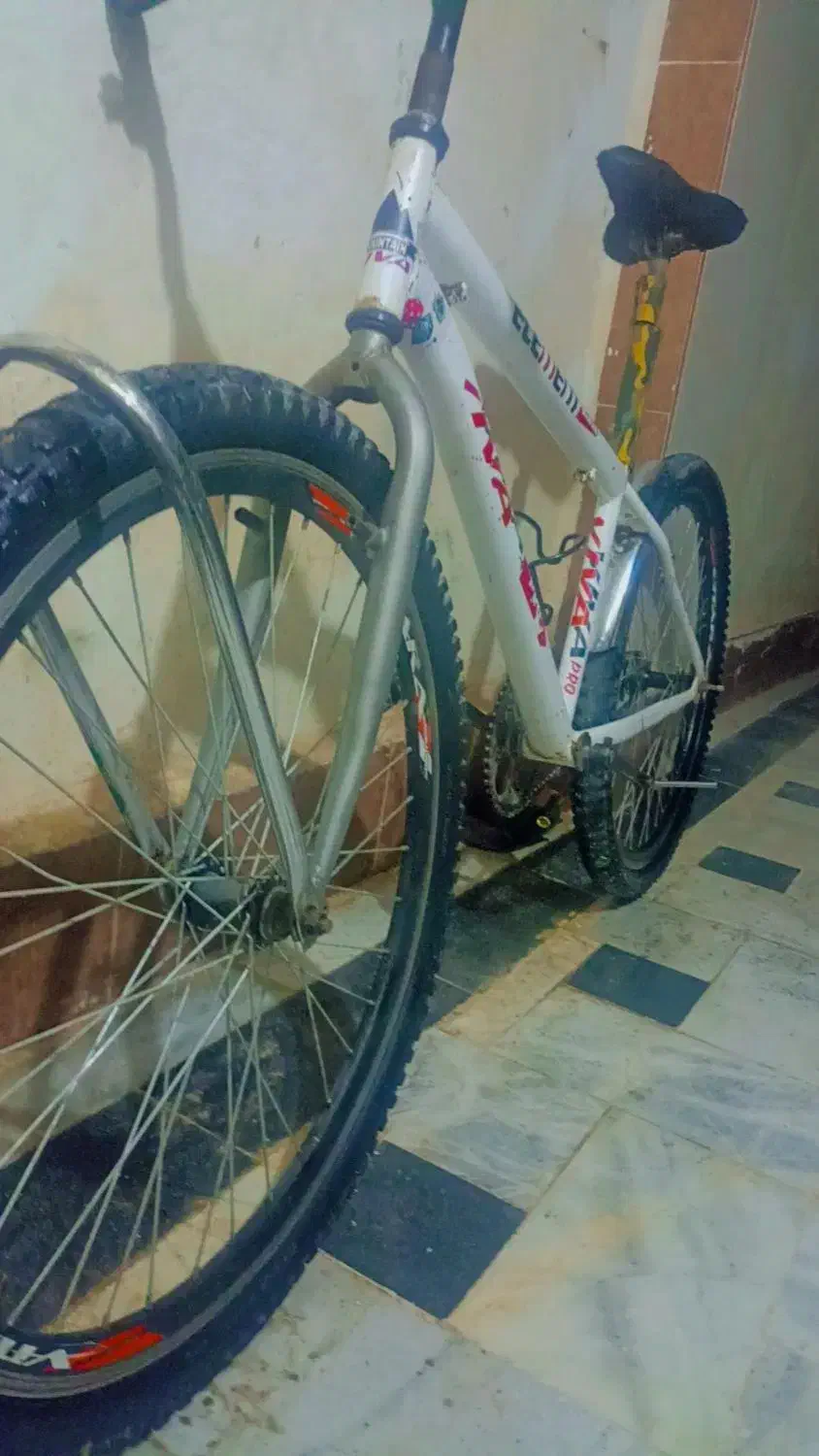 دوچرخه 26 ویوا|دوچرخه، اسکیت، اسکوتر|زابل, |دیوار