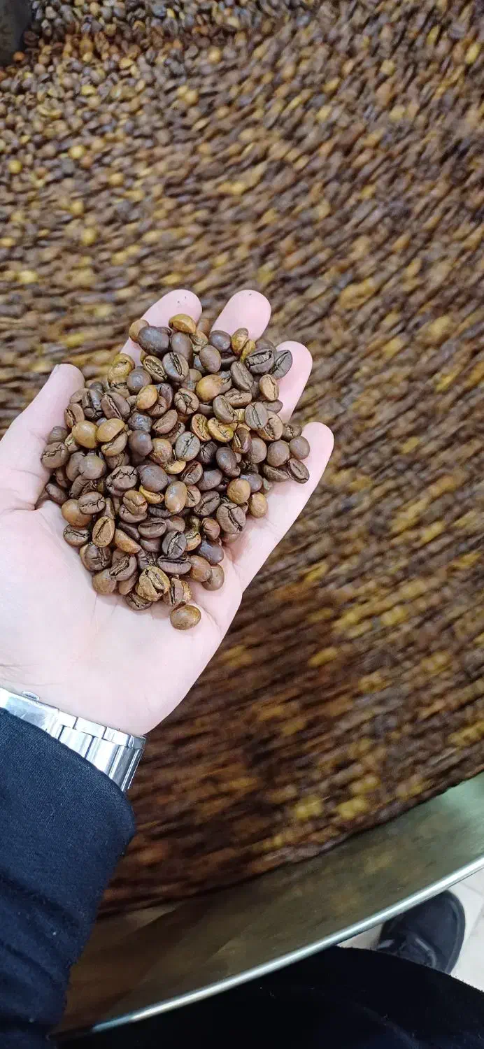 دان قهوه میکس ۱۰۰ روبوستا و ۷۰/۳۰مناسب ترین قیمت|عمده‌فروشی|تهران, تهرانسر مرکزی|دیوار