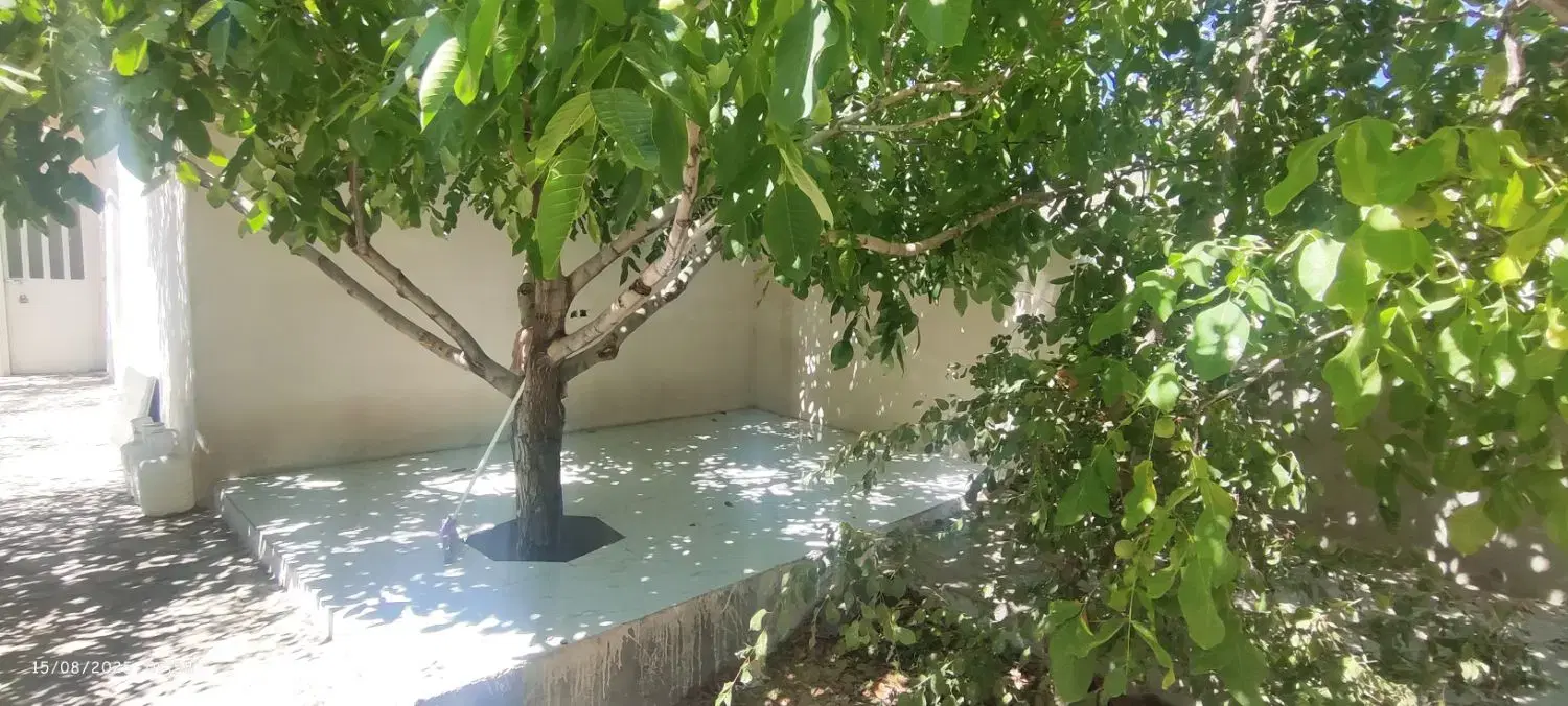 تصویر 2