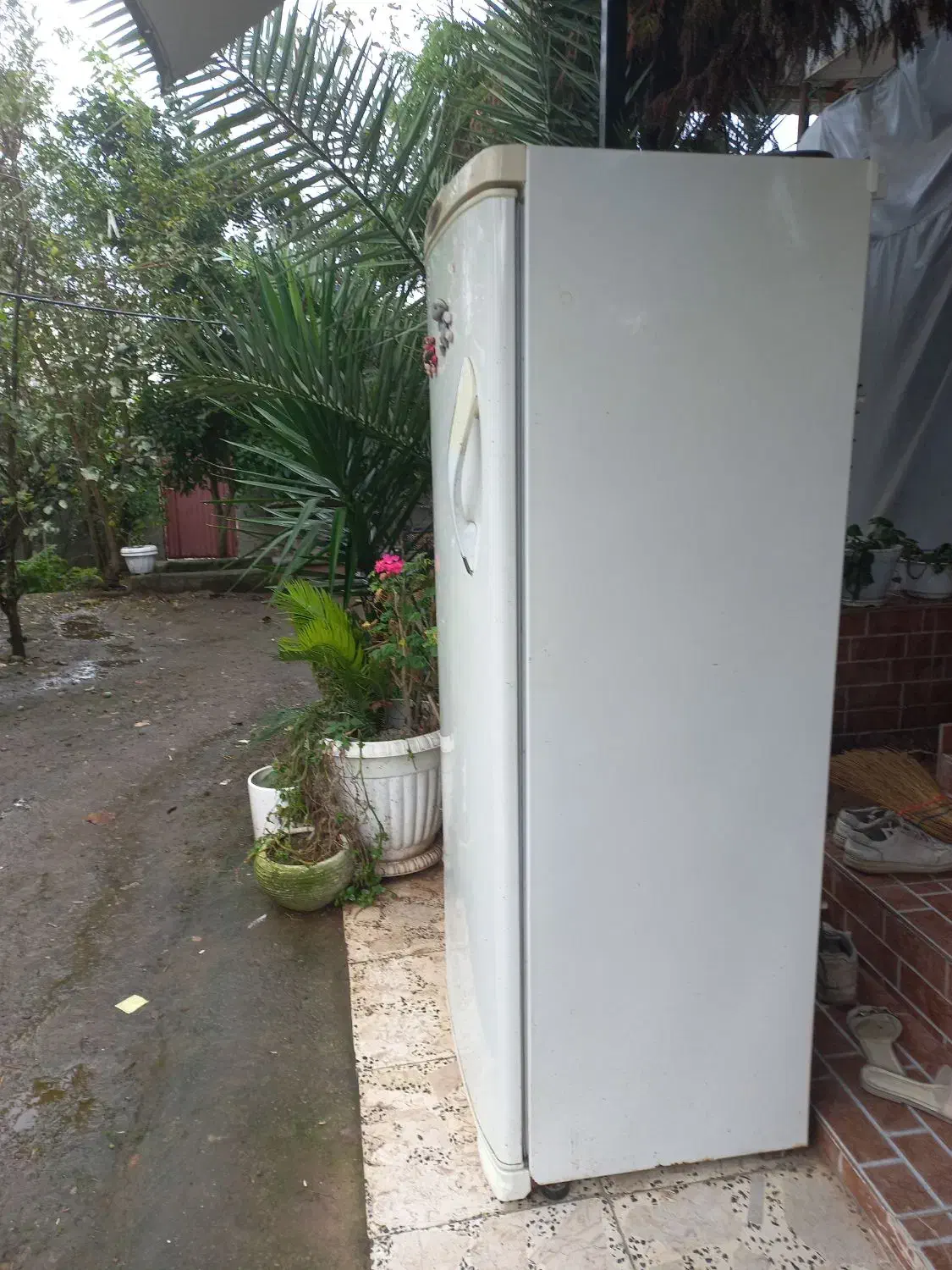 یخچال فزیز|یخچال و فریزر|لشت نشا, |دیوار