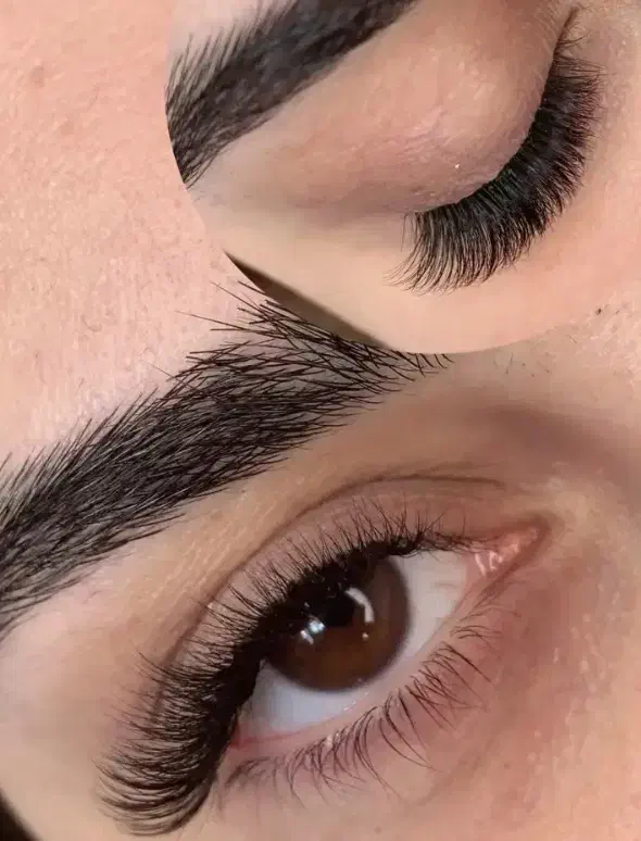 همایش زیبایی|گردهمایی و همایش|بیرجند, |دیوار