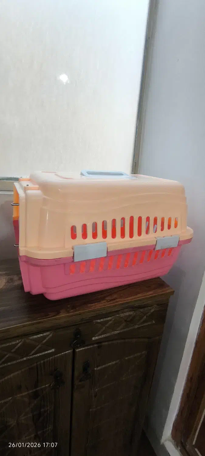 باکس سگ و گربه|لوازم جانبی حیوانات|بهارستان, |دیوار