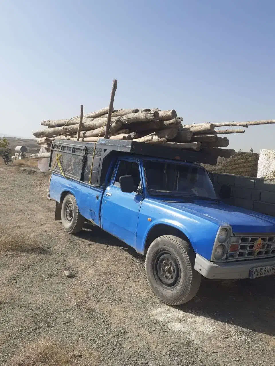 خرید انواع چوب|خدمات باغبانی و درختکاری|شاندیز, |دیوار