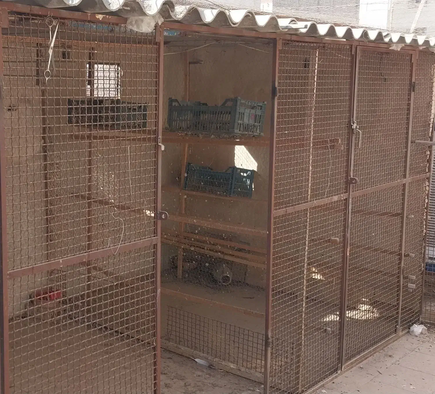 گنجه کبوتر|لوازم جانبی حیوانات|ری, حمزه‌آباد|دیوار