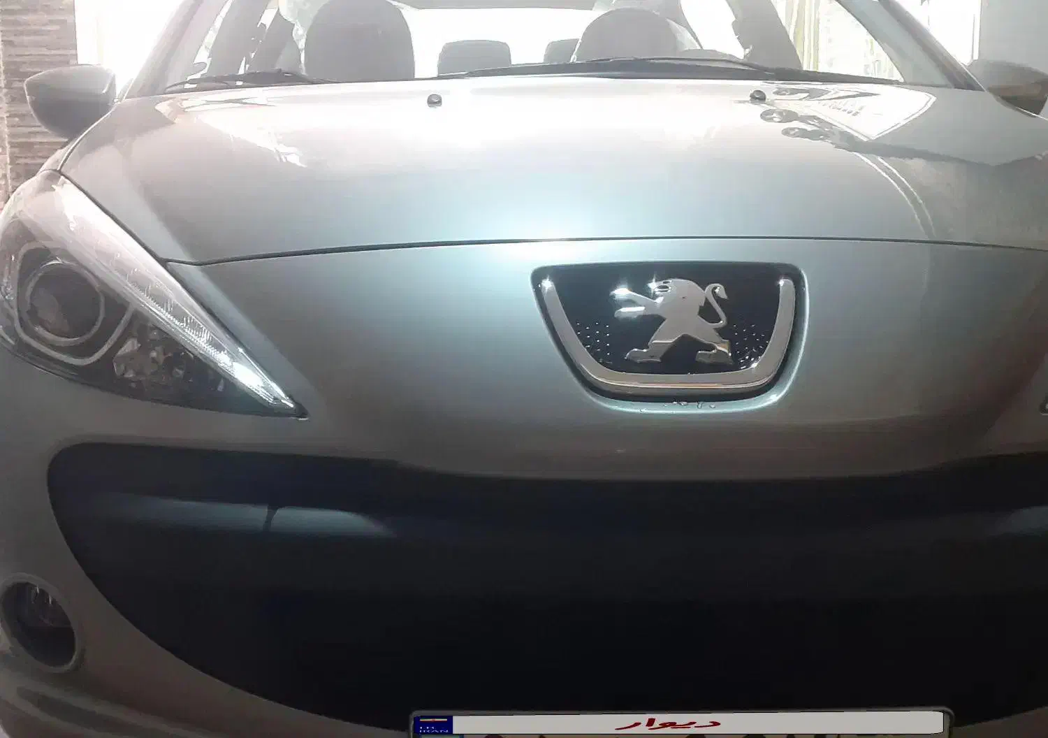 207 پانوراما|خودرو سواری و وانت|بانه, |دیوار