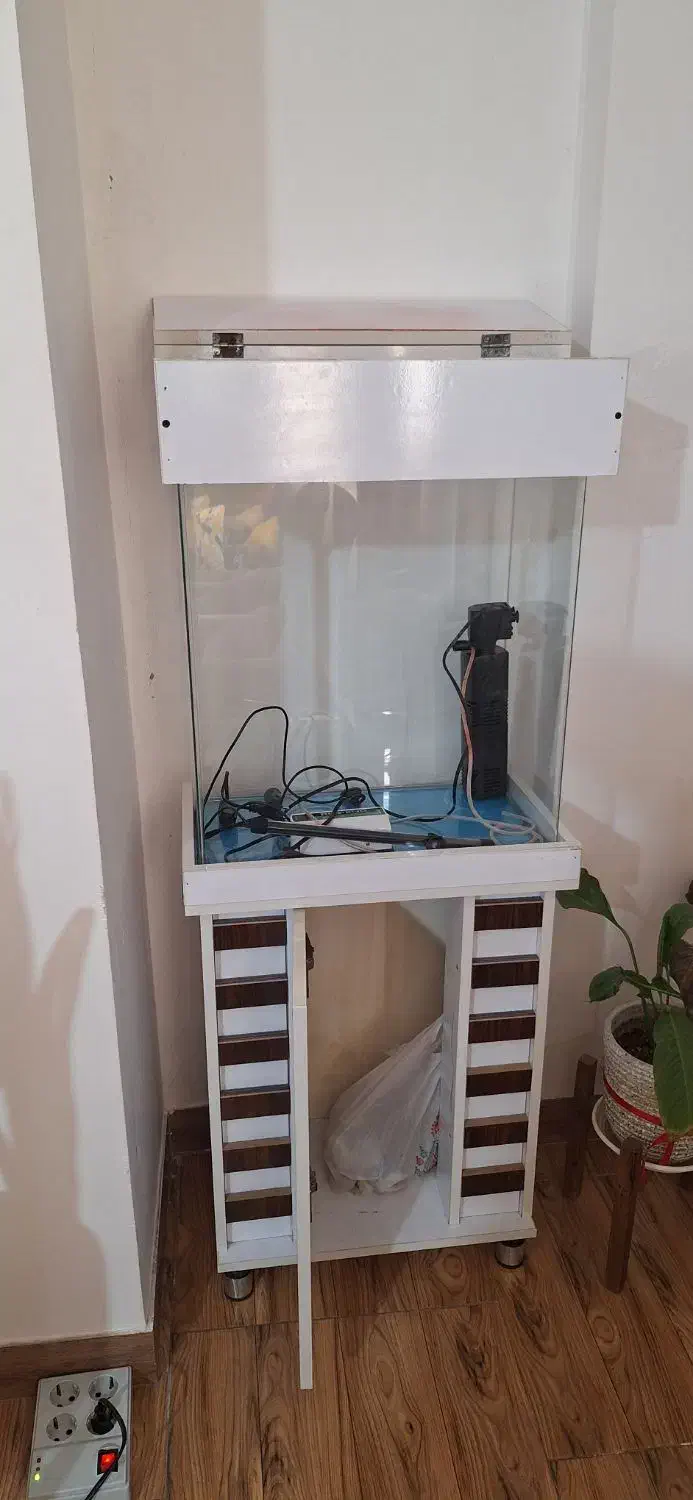 آکواریوم شرکتی شیشه خم|ماهی|ماهدشت, |دیوار