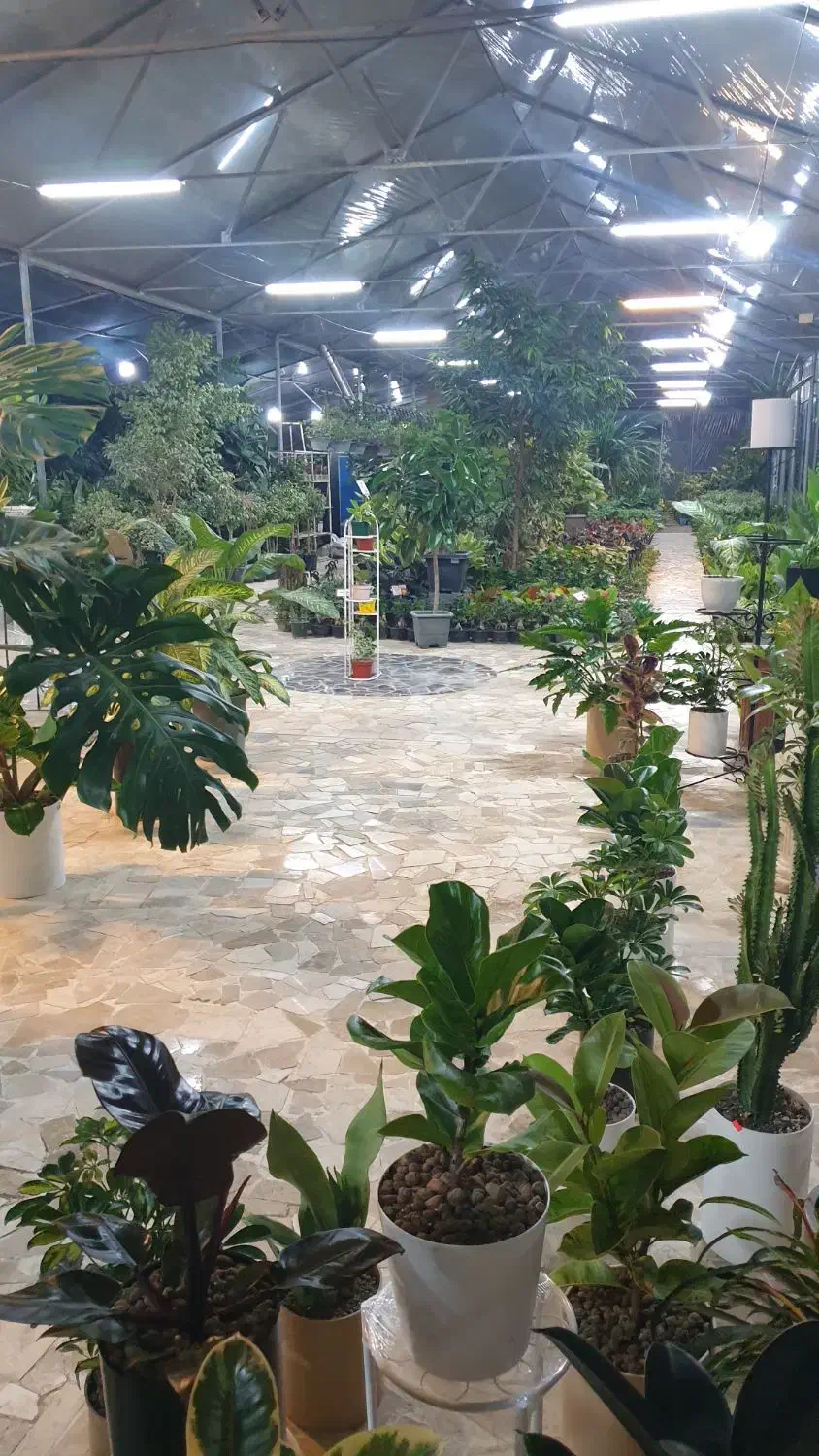 نیروی کار خانم|استخدام خدمات فروشگاه و رستوران|علیآباد کتول, |دیوار