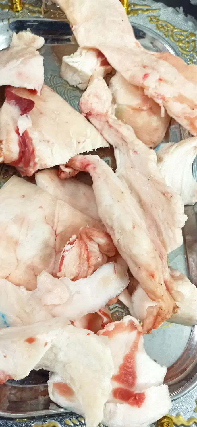 دنبه پشته راسته. پوسته بره|خوردنی و آشامیدنی|خمینی‌شهر, |دیوار