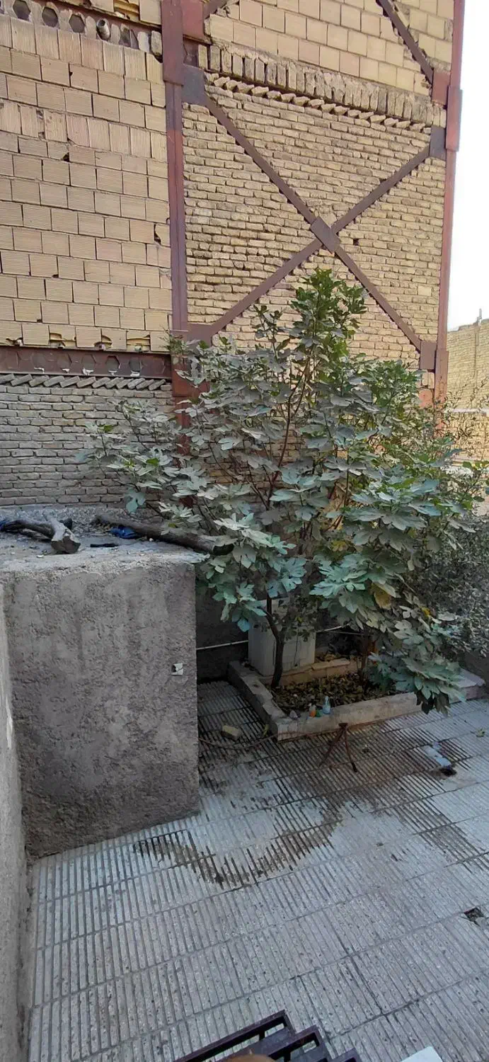 خانه ملکیت|فروش خانه و ویلا|پاکدشت, پاکدشت (مامازند)|دیوار