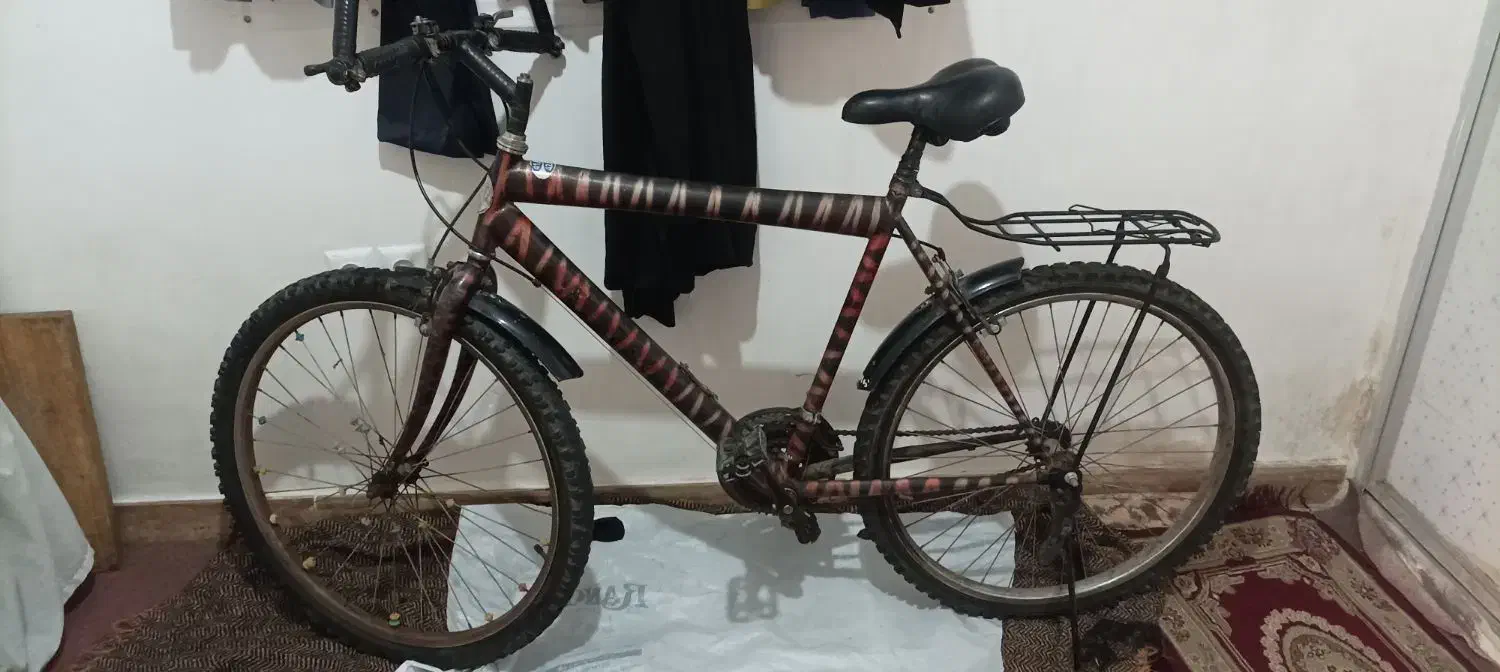 دوچرخه|دوچرخه، اسکیت، اسکوتر|قدس, شهر‌قدس|دیوار