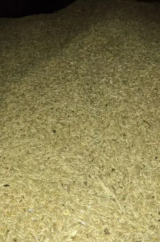 جو دیم|عمدهفروشی|فشاپویه, |دیوار