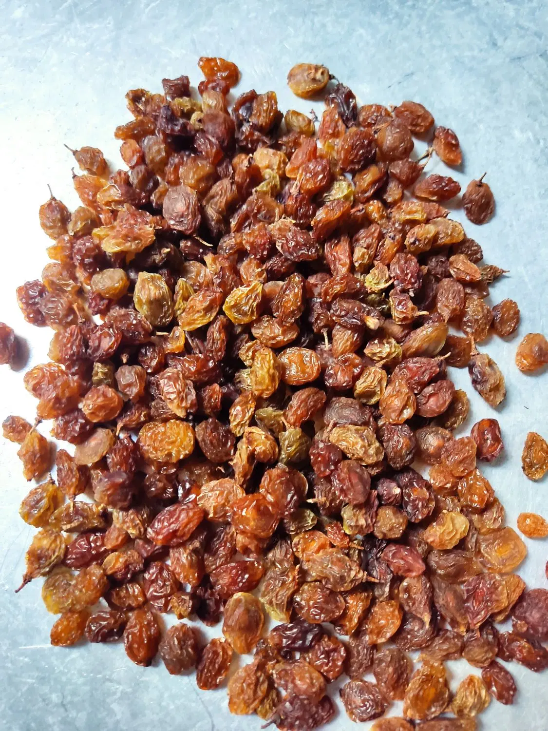 ممیز|خوردنی و آشامیدنی|سبزوار, گلشن|دیوار