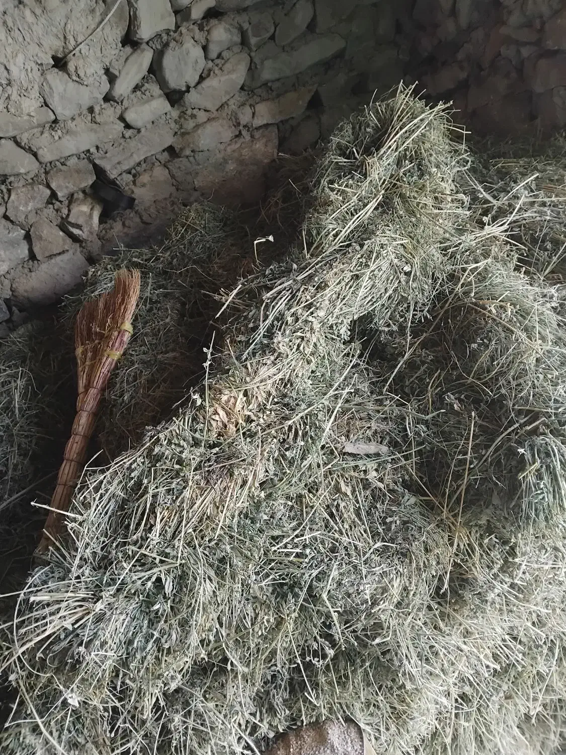 یونجه|لوازم جانبی حیوانات|راز وجرگلان, |دیوار