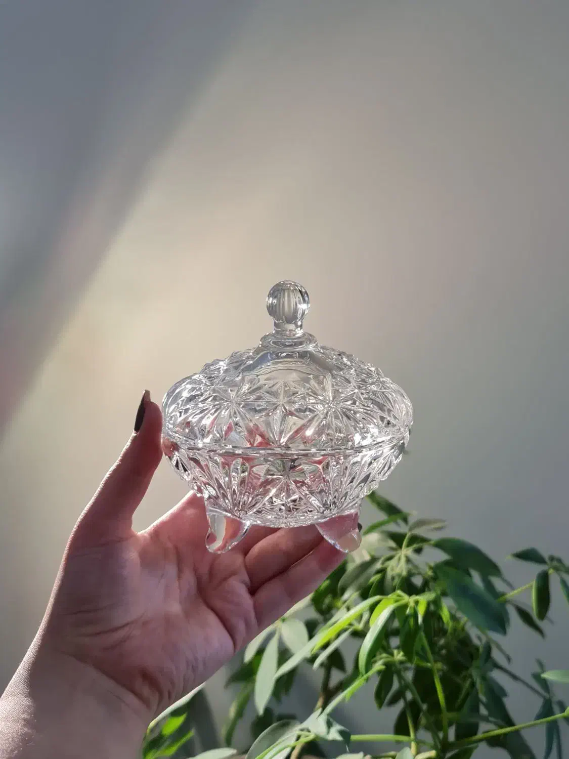 قندان ،شکلات خوری|ظروف سرو و پذیرایی|تهران, اکباتان|دیوار