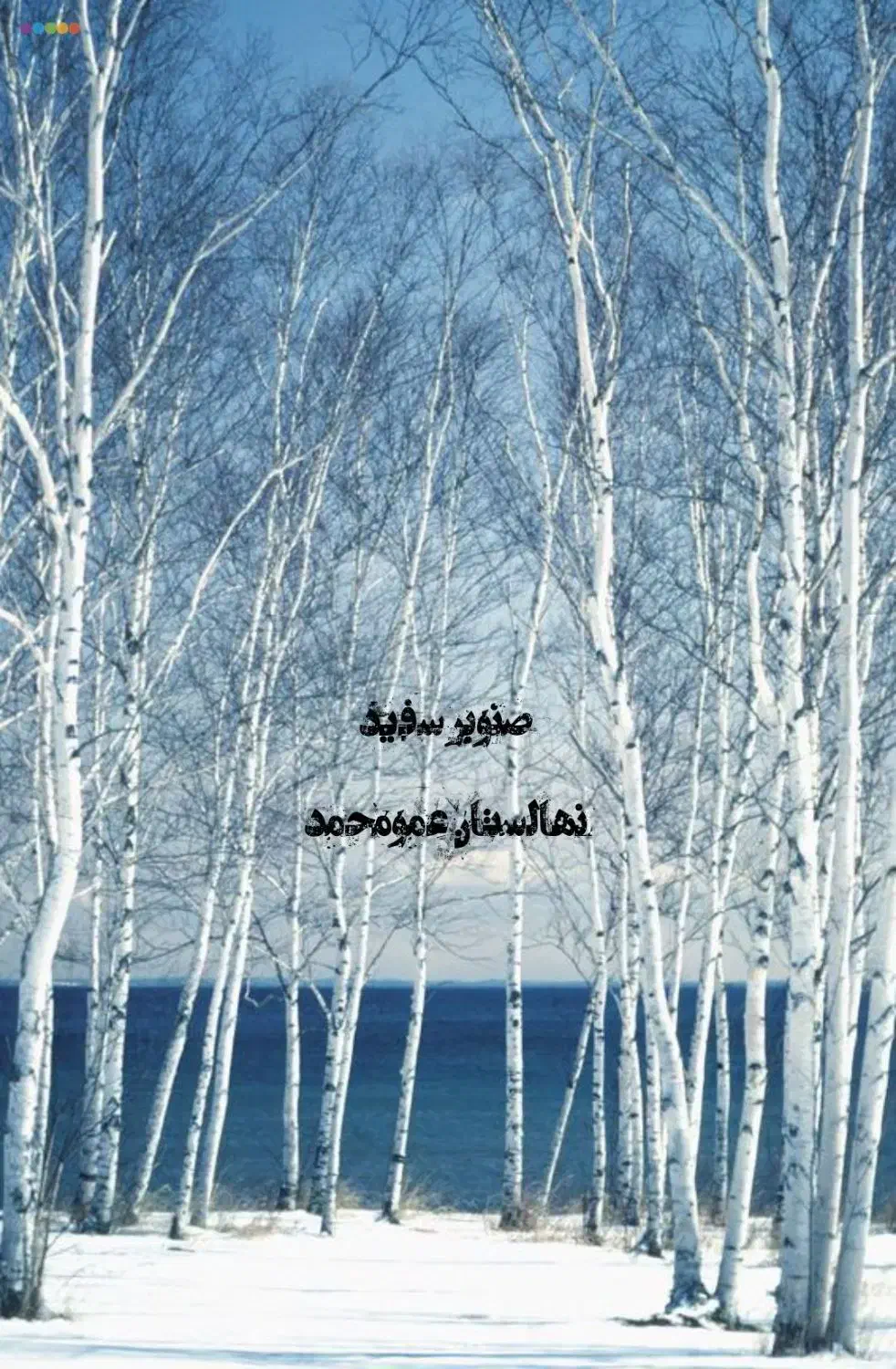 سنجد کبوده پسته پیوندی گردو صنوبر|خدمات باغبانی و درختکاری|اصفهان, آبشار|دیوار