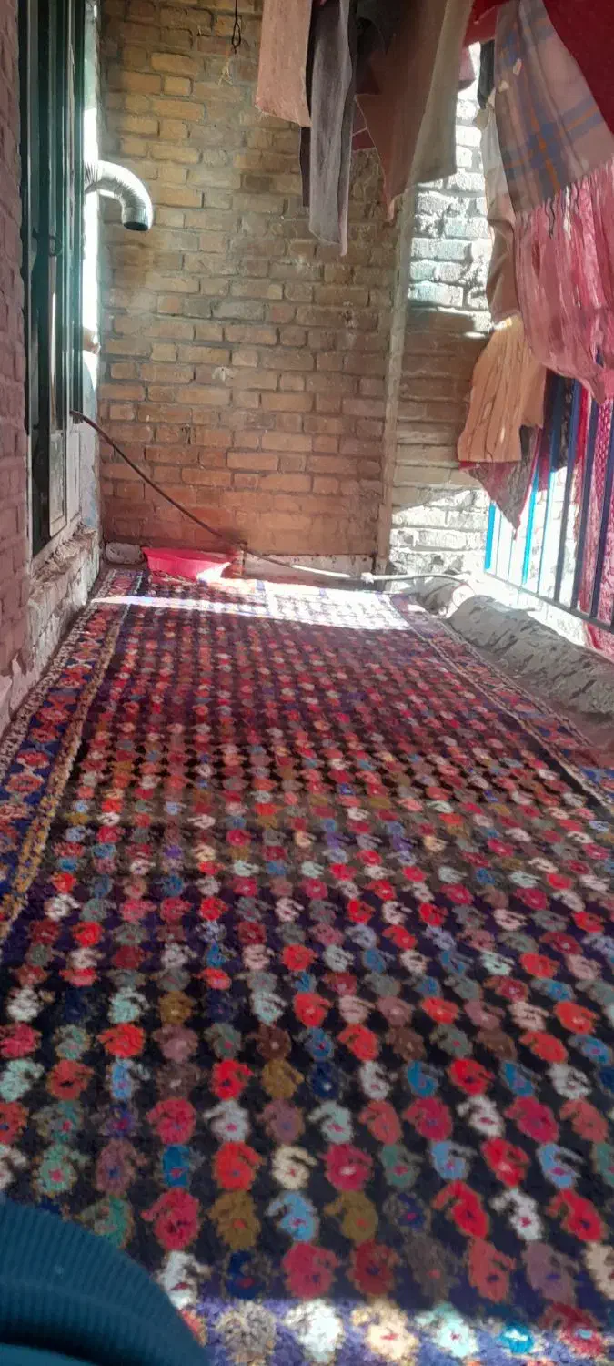 دست بافت|فرش|بروجرد, |دیوار