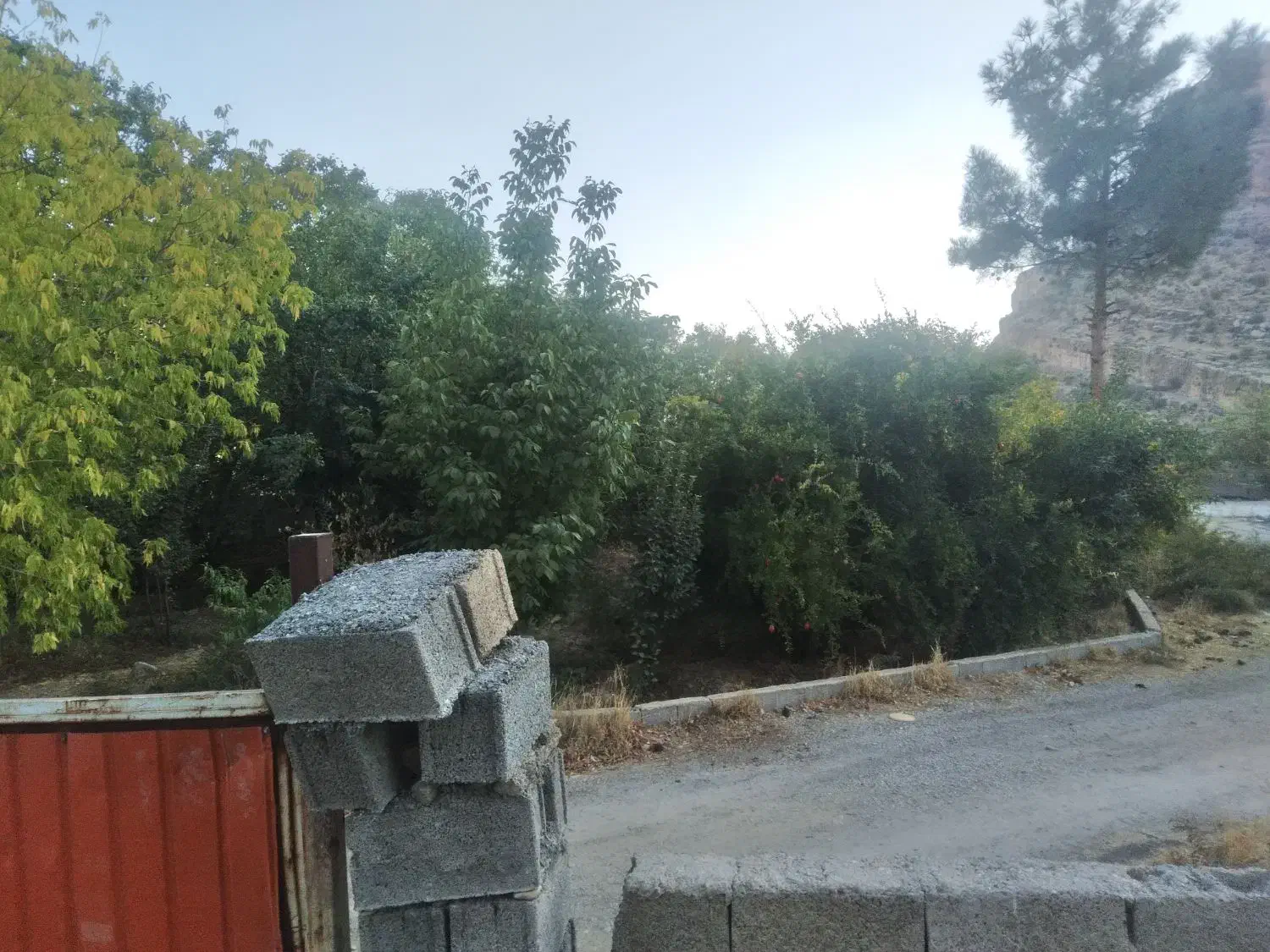 فروش باغ و سوله سیوند سرتنگ خوش|فروش دفتر صنعتی، کشاورزی، تجاری|سیدان, |دیوار