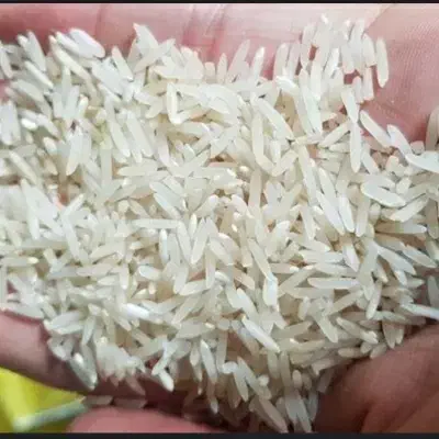 برنج شمیم و فجر نوراباد خوش عطر و عشق پسند|خوردنی و آشامیدنی|یاسوج, |دیوار