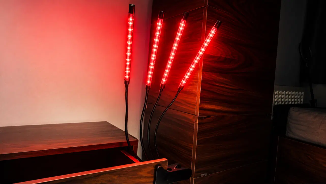 چراغ رشد گیاه ۴ شاخه LED|گل و گیاه طبیعی|تهران, حکیمیه|دیوار