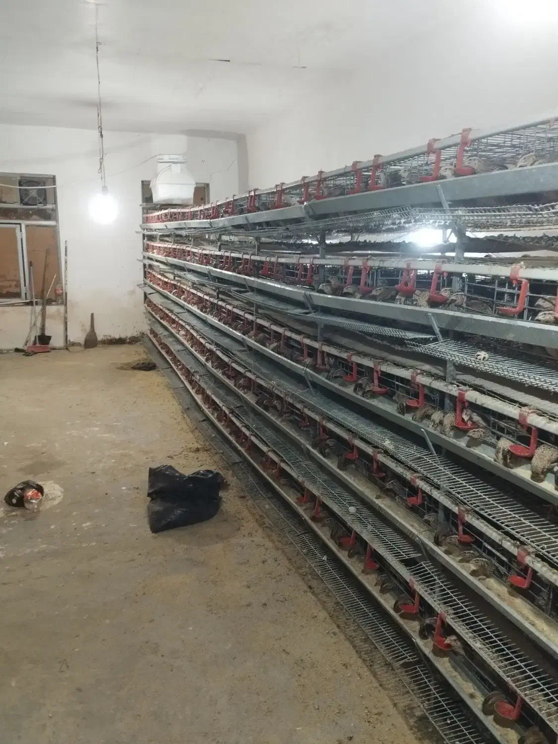 قفس بلدرچین تخم گذار|لوازم جانبی حیوانات|تهران, هلال احمر|دیوار