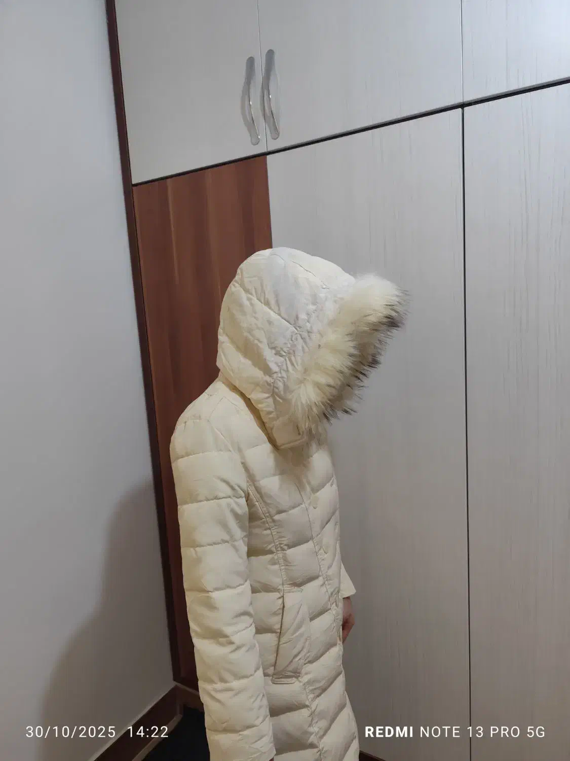 کاپشن|لباس|برازجان, |دیوار