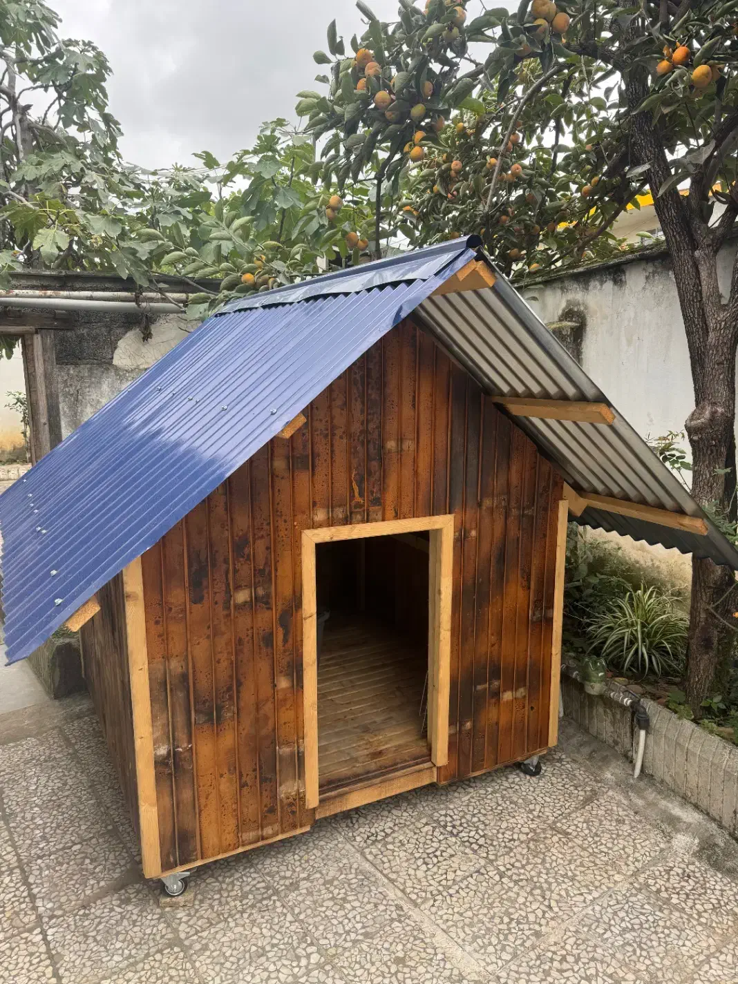 فروش کلبه چوبی سگ نوساز|لوازم جانبی حیوانات|رامسر, |دیوار