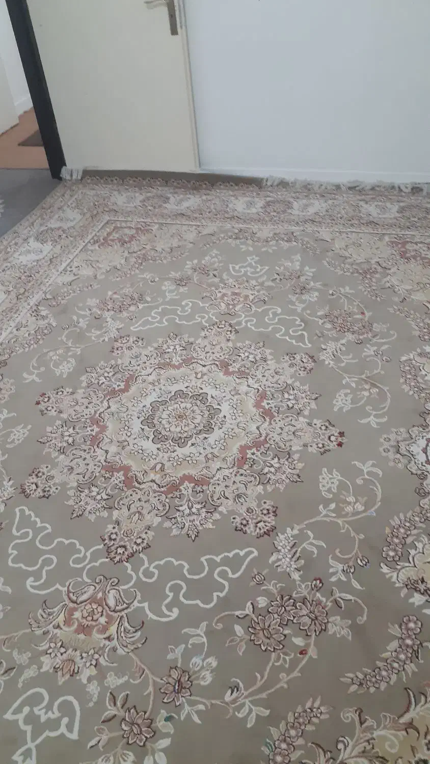 فرش ۱۲ متری|فرش|فولادشهر, B2|دیوار