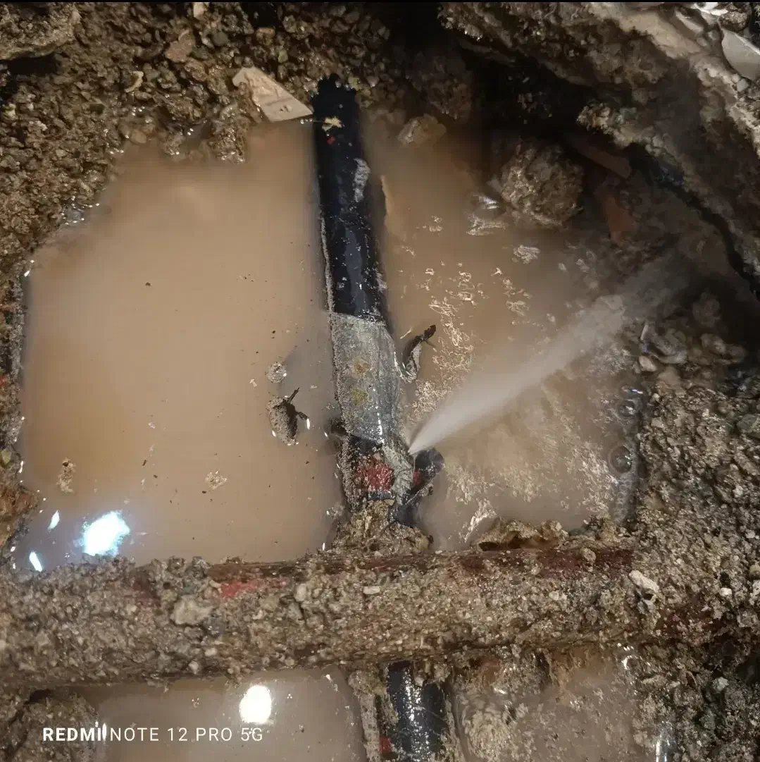 نشت یابی و ترکیدگی و لوله بازکنی نم و چکه|خدمات پیشه و مهارت|آبیک, |دیوار