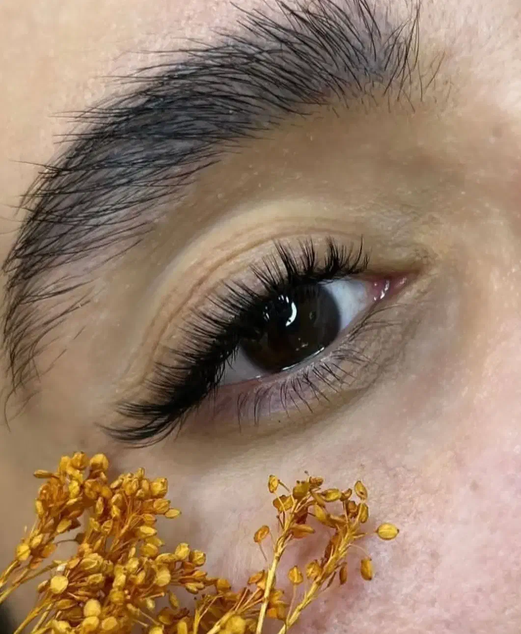 ریمل|آرایشی، بهداشتی، درمانی|نقده, |دیوار