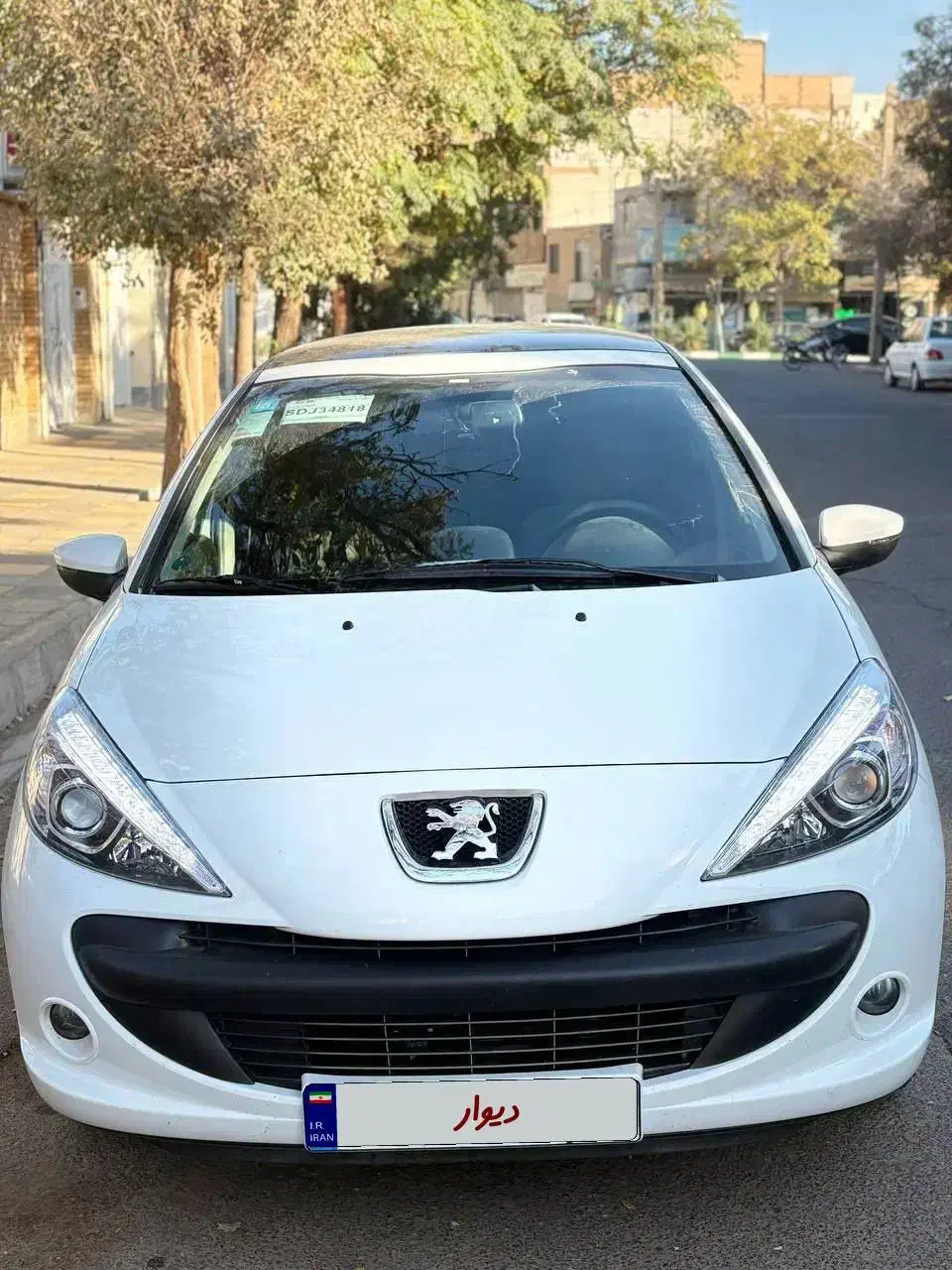 ۲۰۷ کم کار بدون نقطه و خط|خودرو سواری و وانت|سبزوار, پاسداران|دیوار