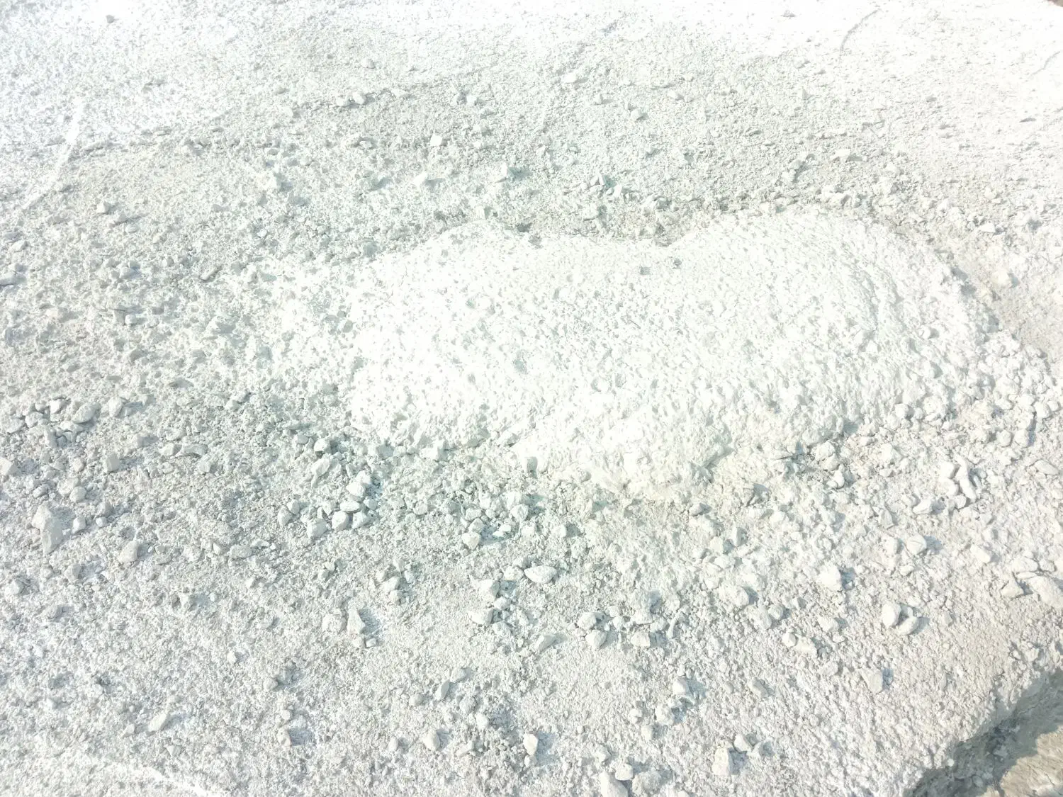 خانه اجاره ای حاجی آباد بیرجند|اجارهٔ خانه و ویلا|بیرجند, |دیوار