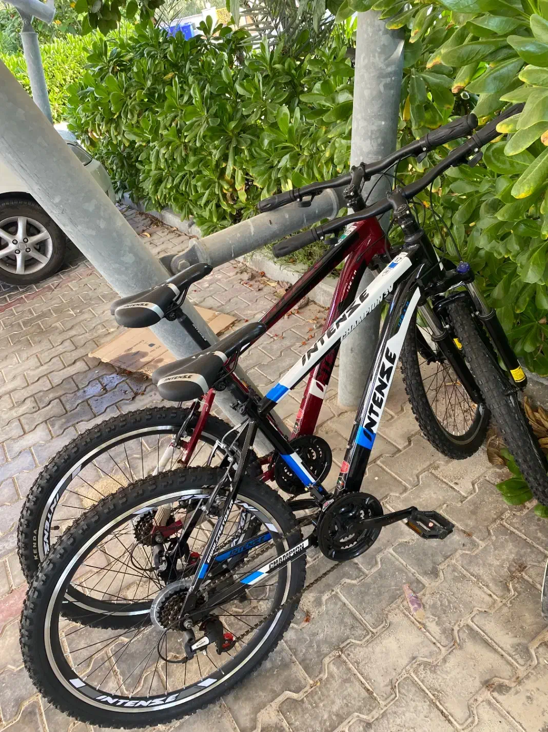 اجاره دوچرخه دنده ای ویوا روزانه|دوچرخه، اسکیت، اسکوتر|کیش, |دیوار